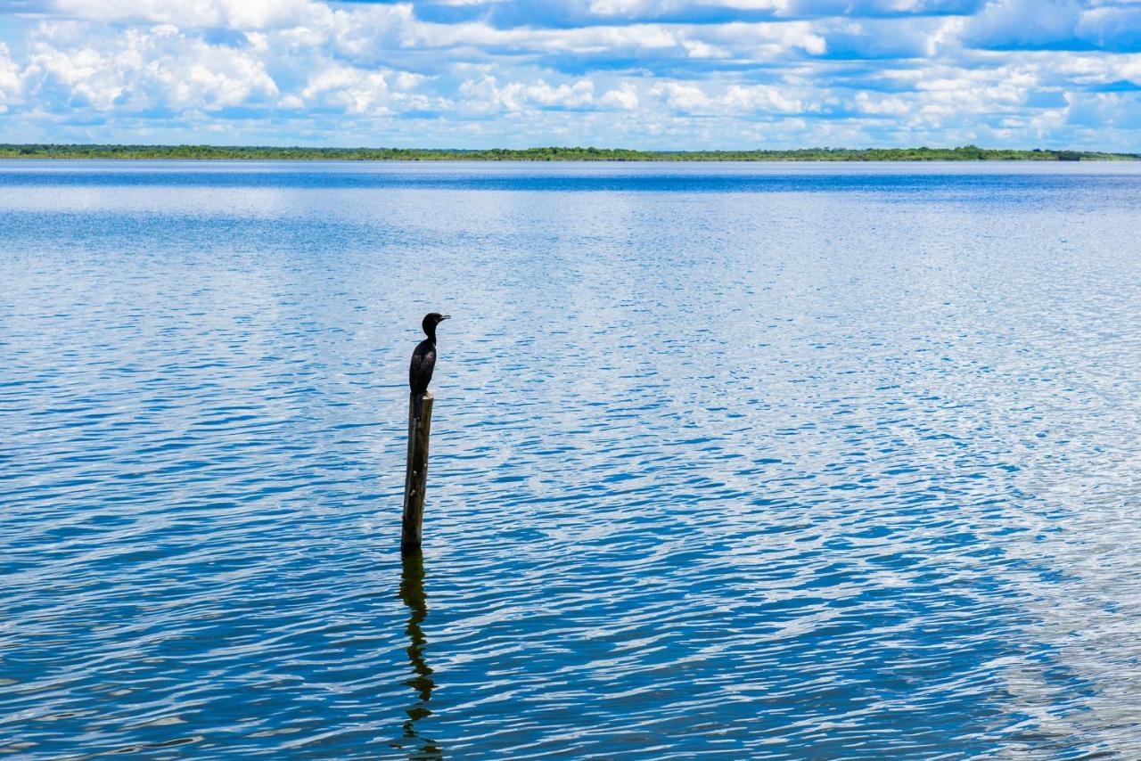 San Fernando Bacalar, Pina Colada *